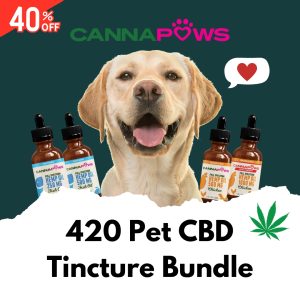 420 Pet CBD Tincture Bundle Canna Paws