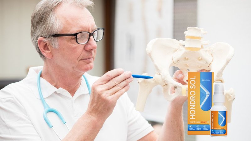 Jak stosować Hondro Sol? Praktyczny przewodnik - overview